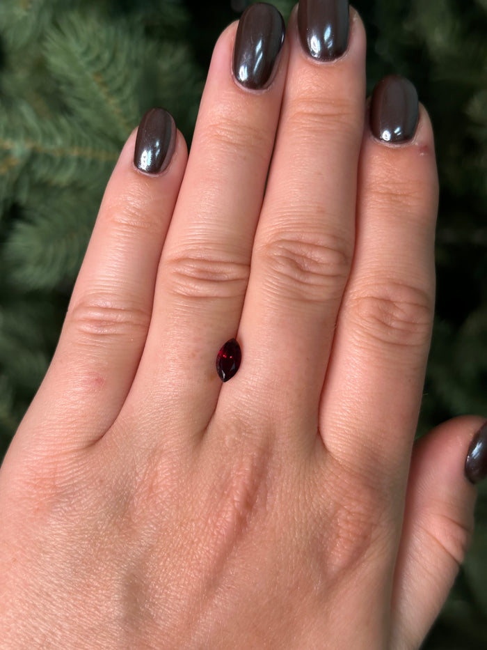 Hand with a red garnet sitting on fingers against a blurred green background
