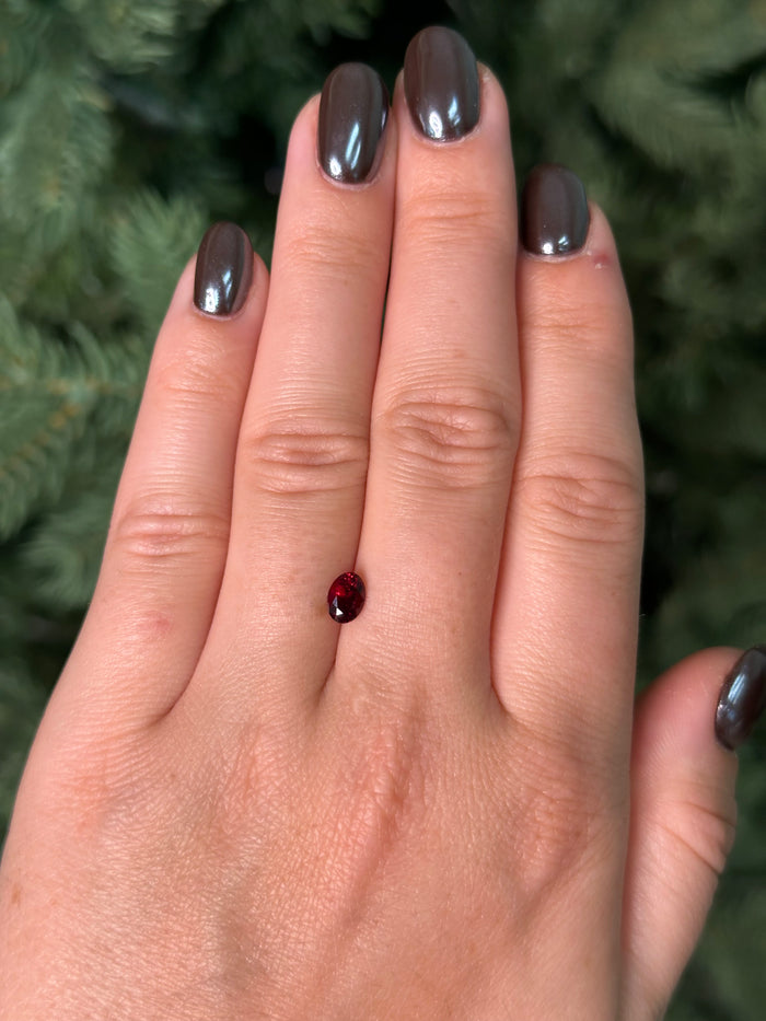 Hand with a red garnet sitting on fingers against a blurred green background
