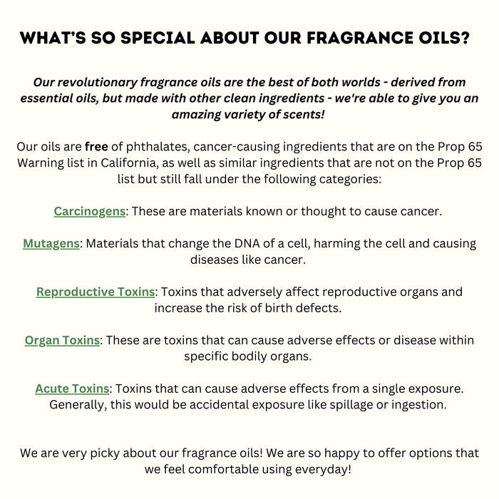 Hanging Car Air Freshener + Odor Eliminator