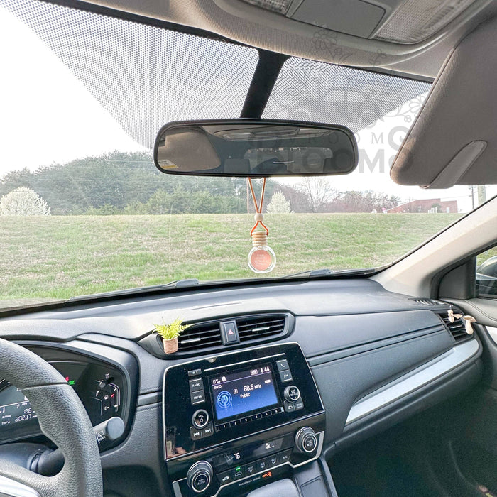 Hanging Car Air Freshener + Odor Eliminator