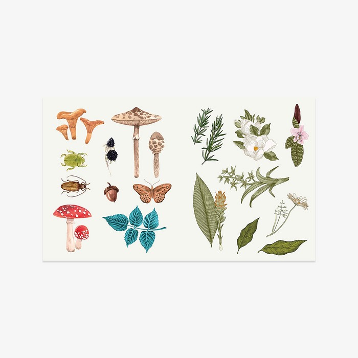 STICKER BOOK // APOTHECARY