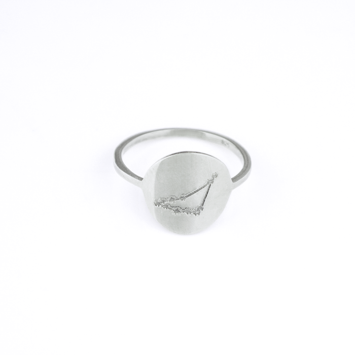 Zodiac Constellation Disc Ring, Sterling Silver or Gold Vermeil Custom Engraved Astrology Ring, Constellation Jewelry for Women, Birthday Gift for Her